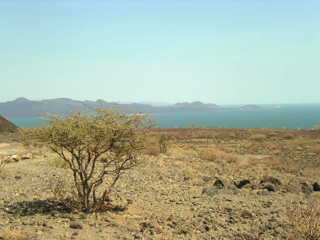 Paisagem do lago Turkana, no Vale do Rift — uma das regiões centrais para o estudo das origens humanas em África